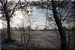 Winterblick durch die Bäume